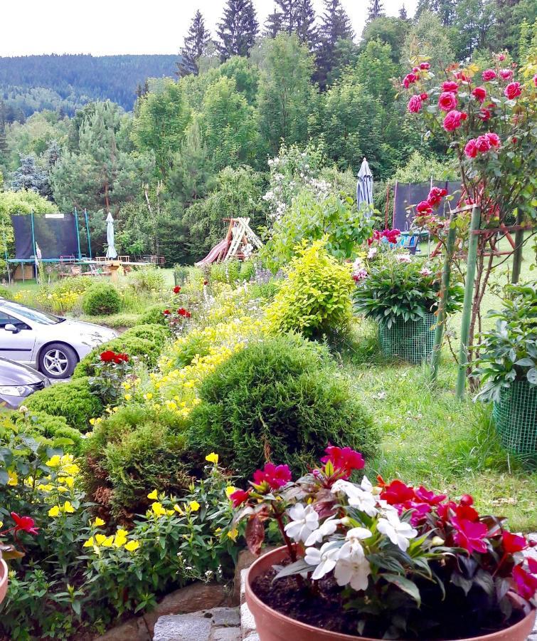 Apartamenty Dom Na Wzgorzu Gardenia Строне-Шльонське Екстер'єр фото